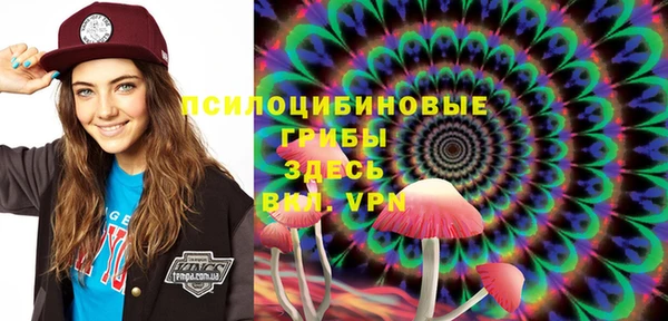 первитин Алексеевка