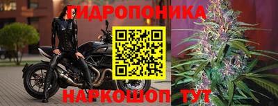spice Волжск