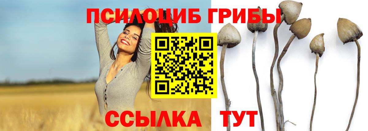 Псилоцибиновые грибы ЛСД  Вход с VPN  Нефтекамск 